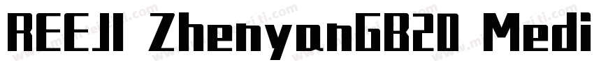 REEJI ZhenyanGB20 Medium字体转换